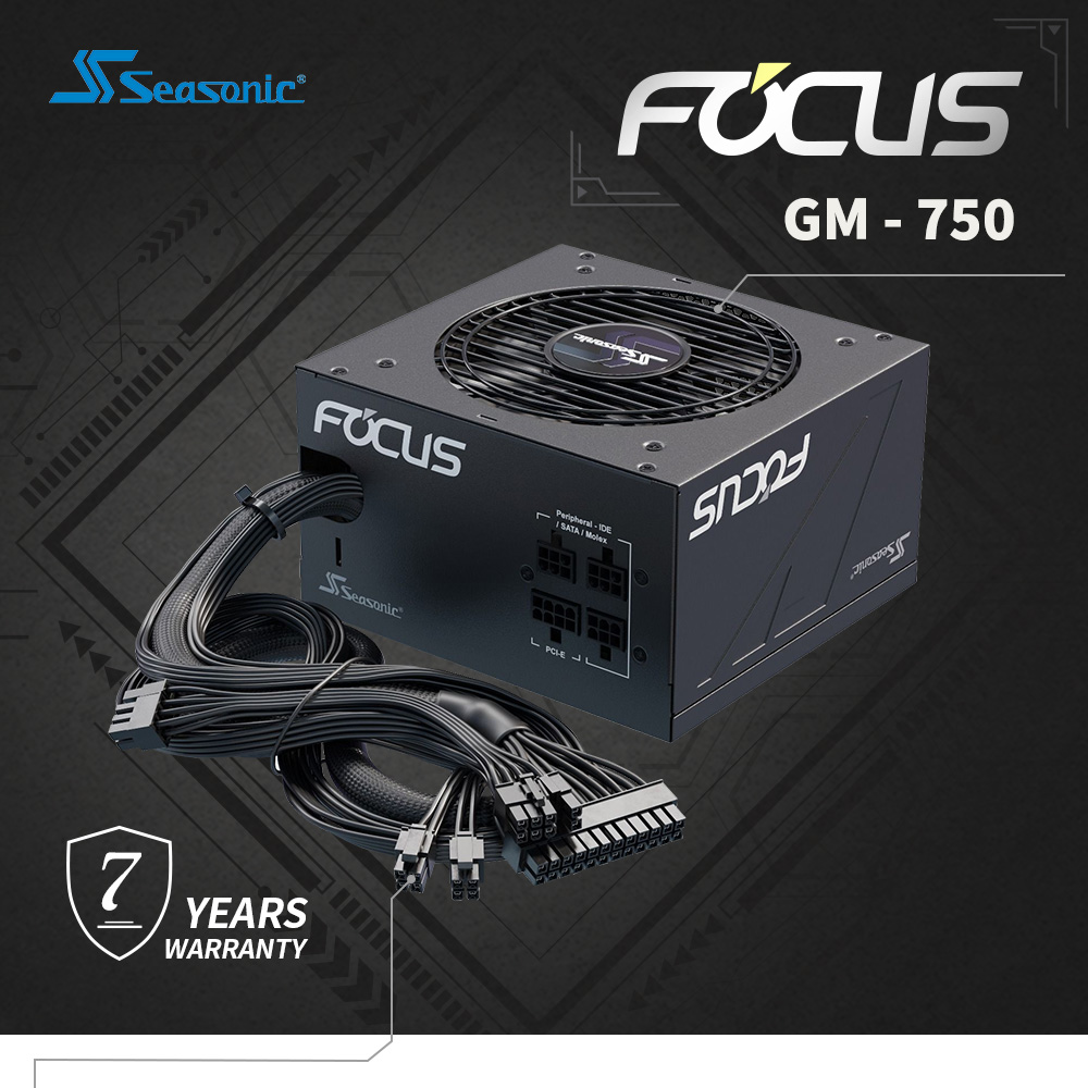 海韻,電源供應器,FOCUS,550W,金牌 半模